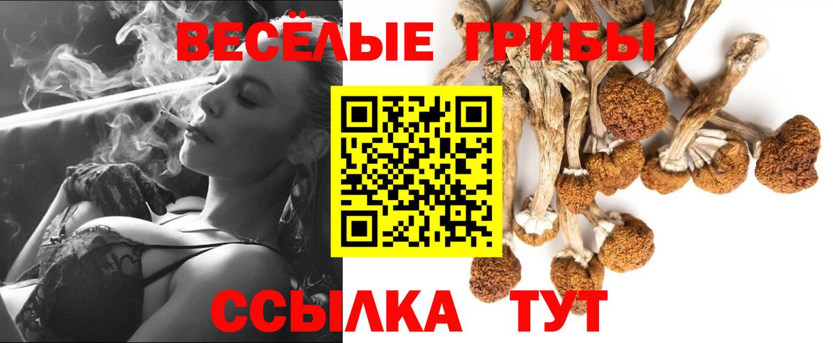Галлюциногенные грибы мухоморы  Вход с VPN  Карабулак 